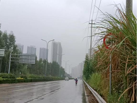 全力以赴戰寒潮，姜汁湯圓暖人心